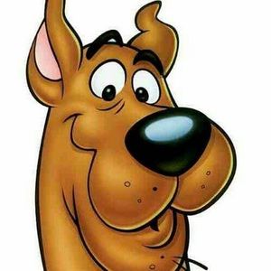 Meet your Posher, Raul